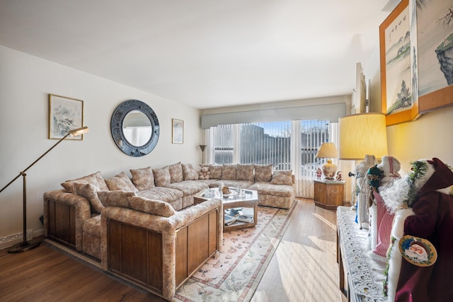 living room with wood-type flooring