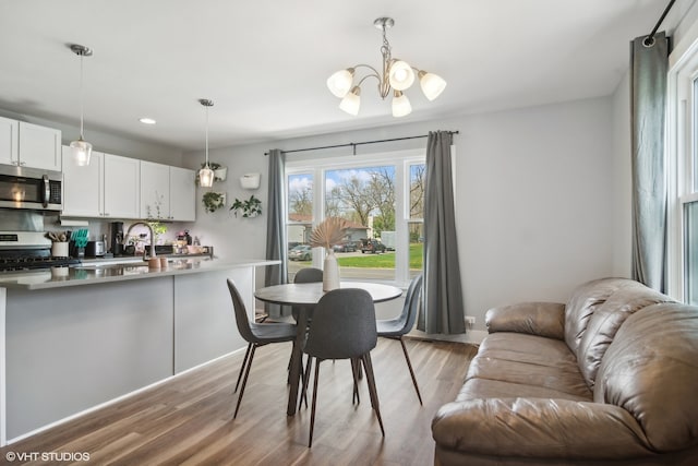 dining area with a chandelier and light hardwood / wood-style flooring