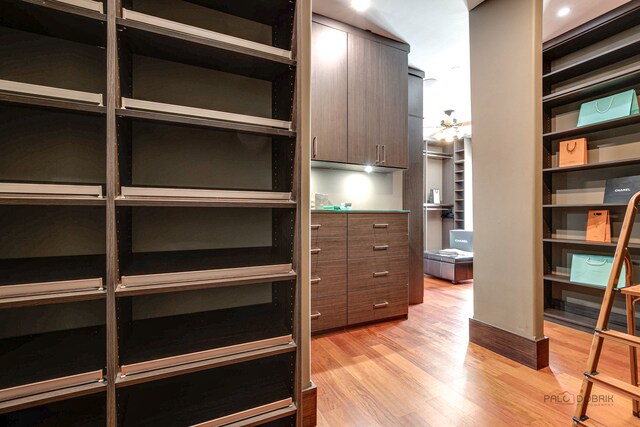 walk in closet with light hardwood / wood-style flooring