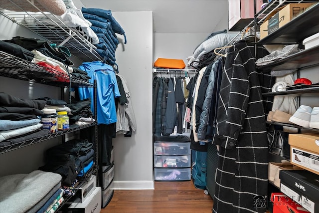 walk in closet featuring dark hardwood / wood-style flooring