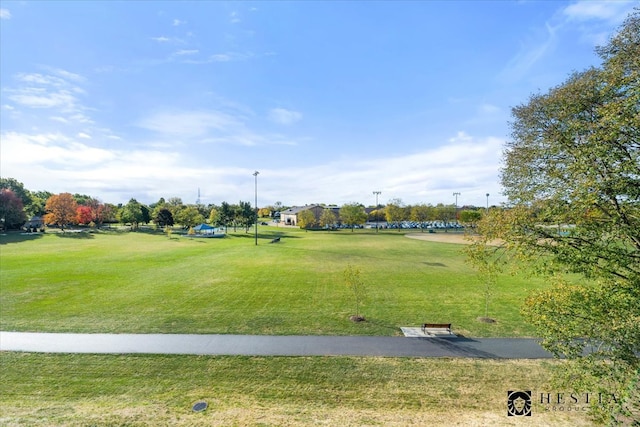 view of community with a lawn