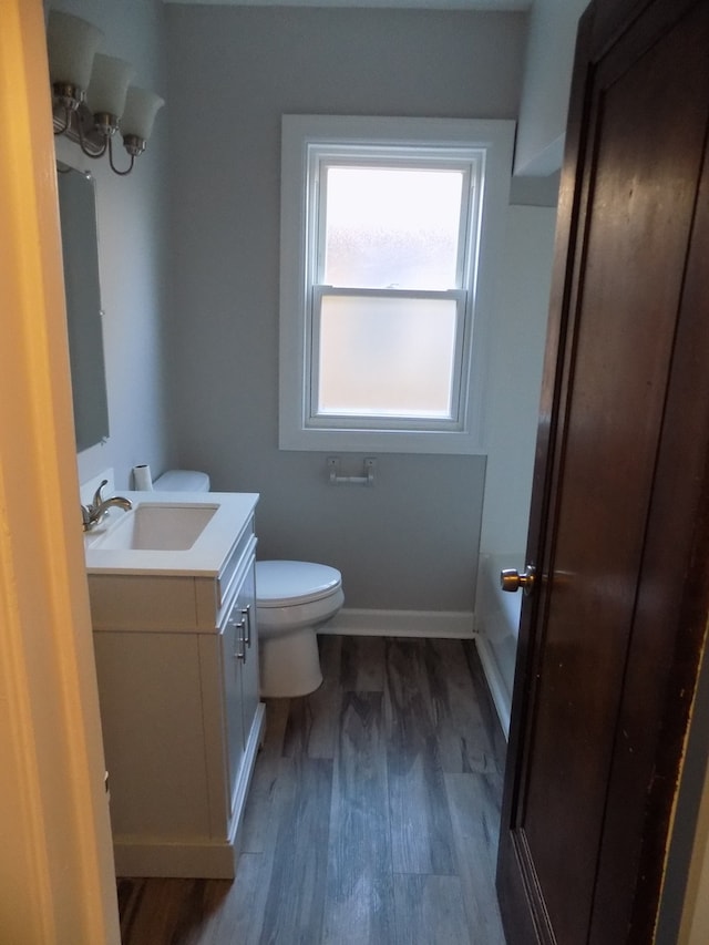 bathroom with vanity, hardwood / wood-style floors, and toilet