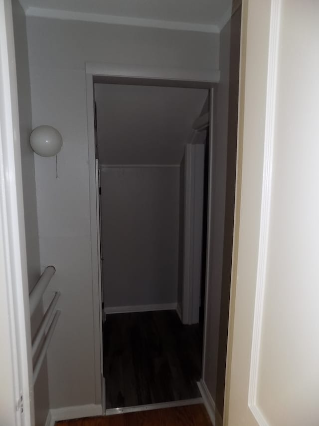 corridor featuring dark hardwood / wood-style flooring