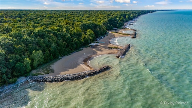 bird's eye view featuring a water view