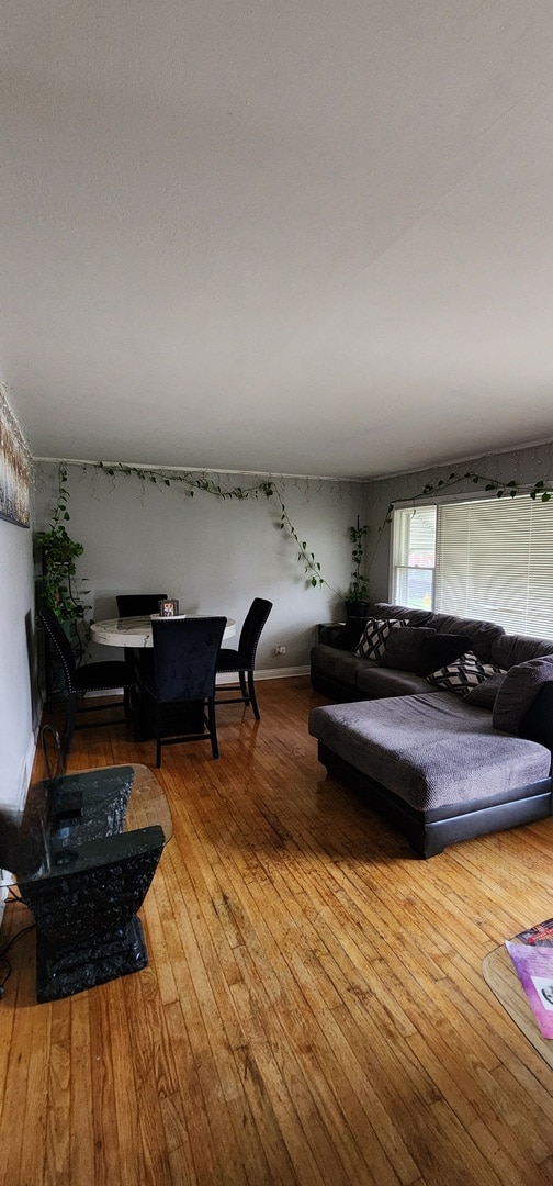 living room featuring hardwood / wood-style flooring