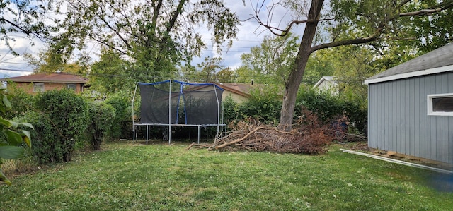 view of yard featuring a trampoline and an outdoor structure