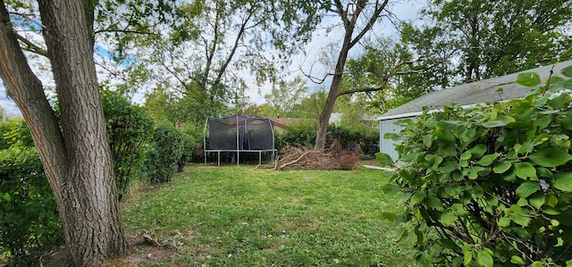 view of yard featuring a trampoline