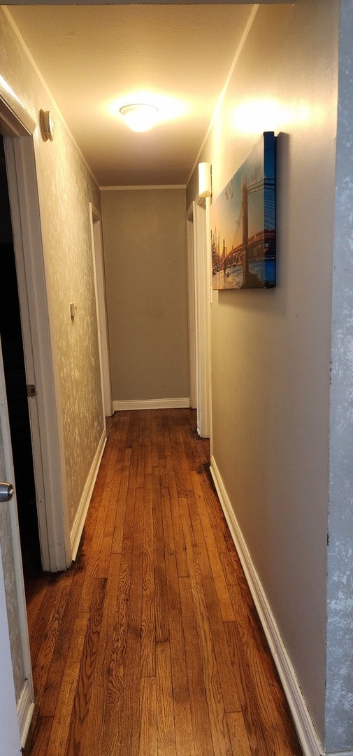 corridor with dark wood-type flooring