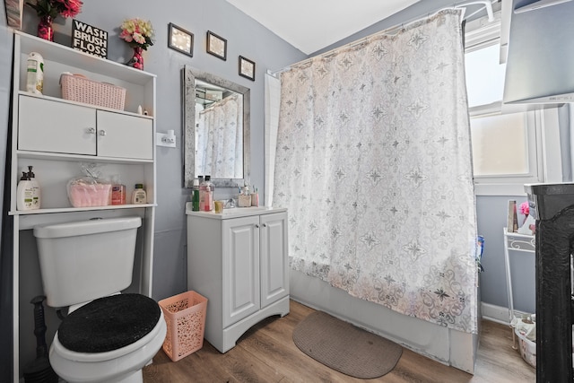 bathroom featuring wood-type flooring, vanity, toilet, and curtained shower