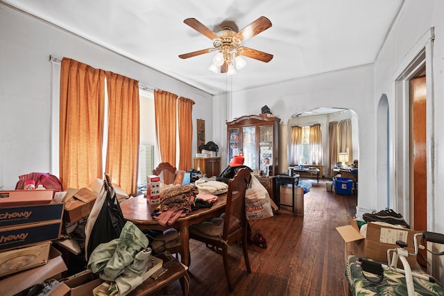 dining room featuring ceiling fan and dark hardwood / wood-style flooring