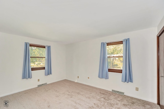 carpeted spare room with a wealth of natural light