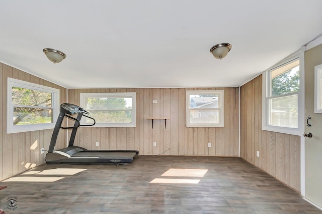 workout room featuring wooden walls and dark wood-type flooring