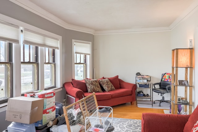 living room featuring light hardwood / wood-style floors, crown molding, and plenty of natural light