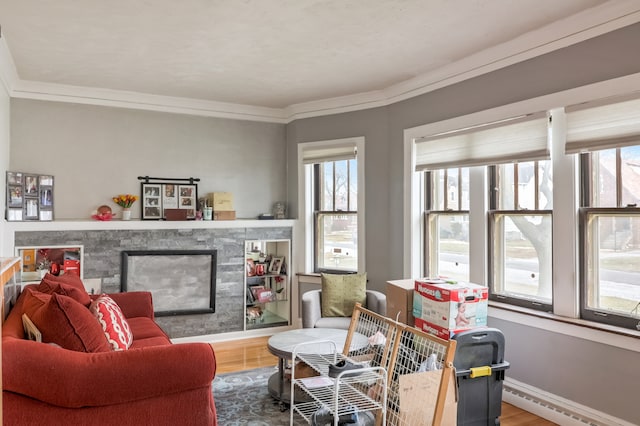 living room featuring ornamental molding, wood-type flooring, and a fireplace