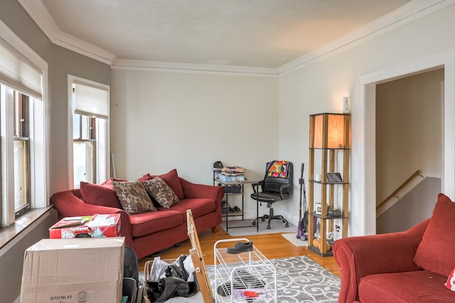 living room featuring ornamental molding and light wood-type flooring