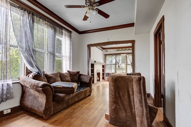 living room with crown molding, ceiling fan, and light hardwood / wood-style floors