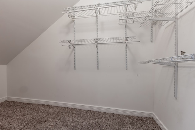 walk in closet with carpet floors and lofted ceiling