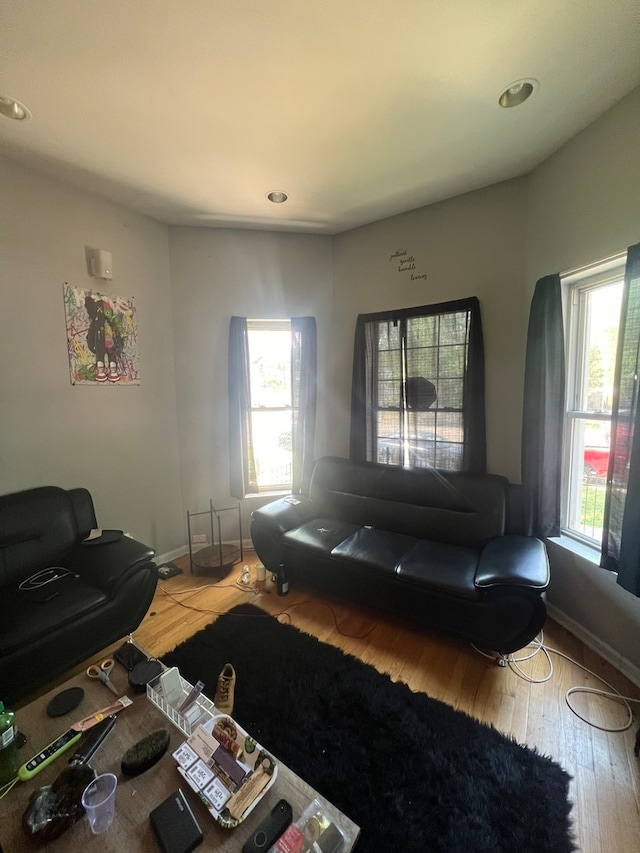 living room featuring hardwood / wood-style floors and a healthy amount of sunlight