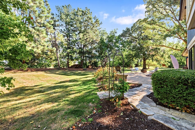 view of yard featuring a patio area