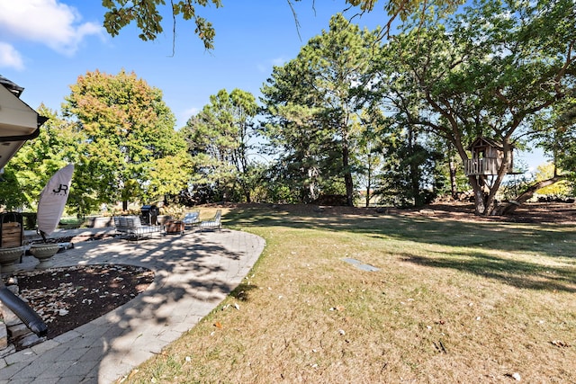 view of yard featuring a patio