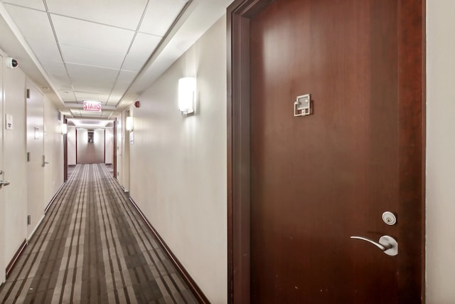 hall featuring a drop ceiling and carpet