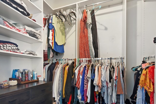 view of spacious closet