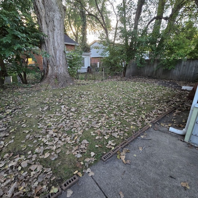 view of yard featuring a patio