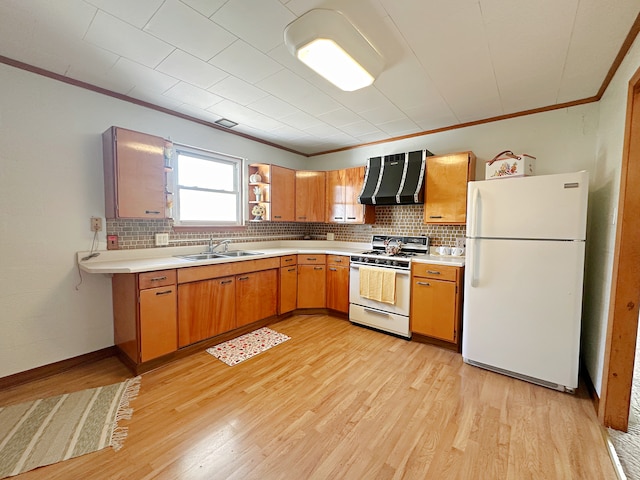 kitchen featuring backsplash, light wood-type flooring, sink, ventilation hood, and white appliances