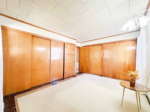 basement featuring carpet and wood walls