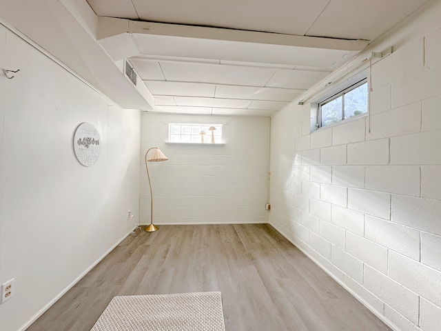 basement with light hardwood / wood-style floors