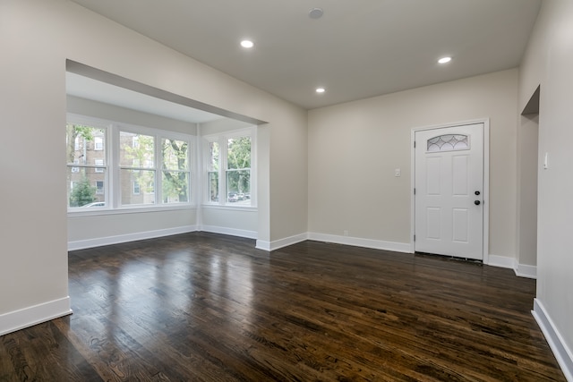 entryway featuring dark wood-type flooring