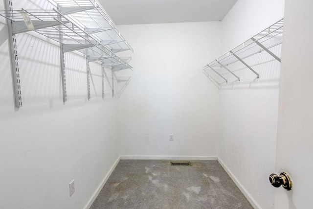 walk in closet featuring carpet floors