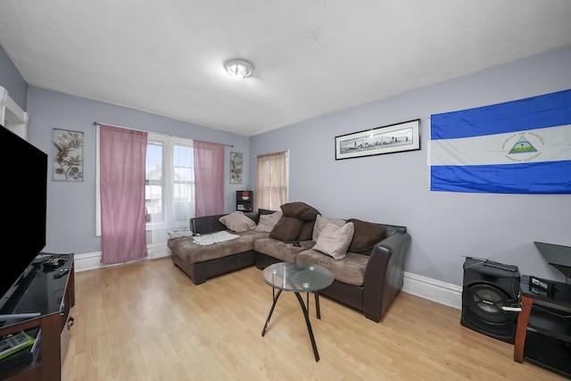 living room featuring light wood-type flooring