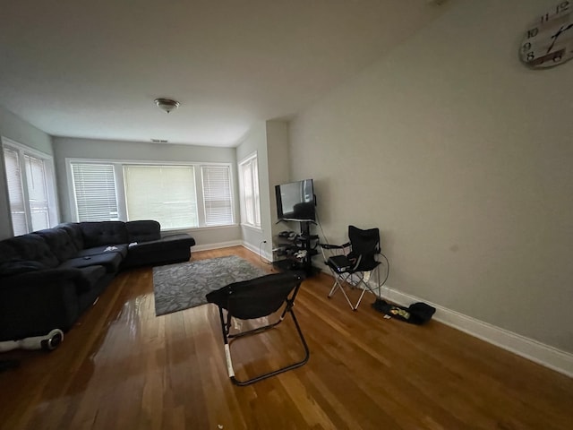 living room featuring hardwood / wood-style floors