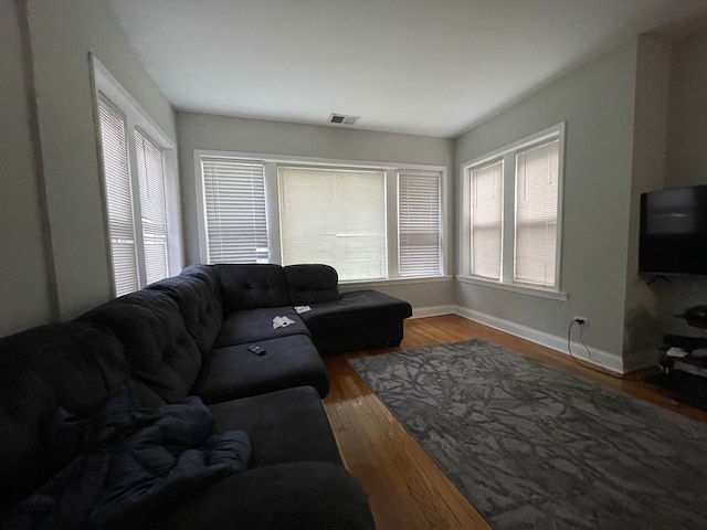 living room with wood-type flooring