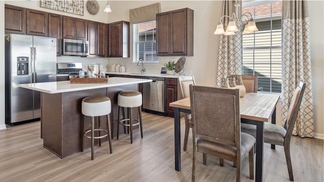 kitchen with pendant lighting, stainless steel appliances, light hardwood / wood-style flooring, and a healthy amount of sunlight