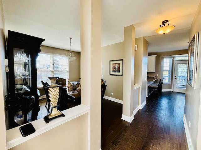 hall featuring dark wood-type flooring and a healthy amount of sunlight