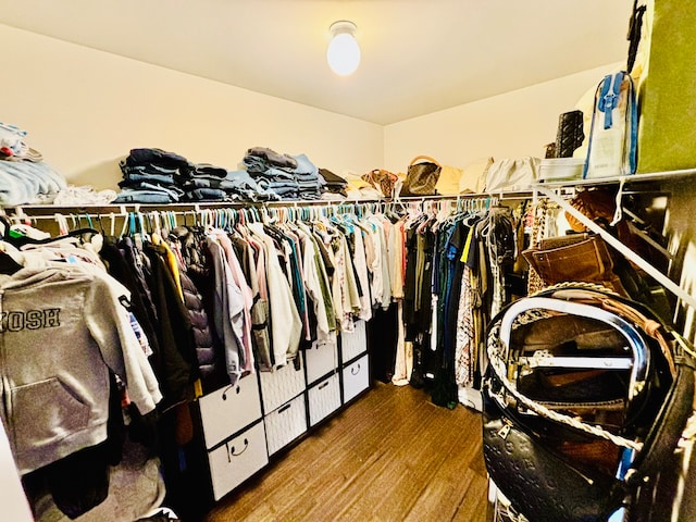 spacious closet featuring wood-type flooring