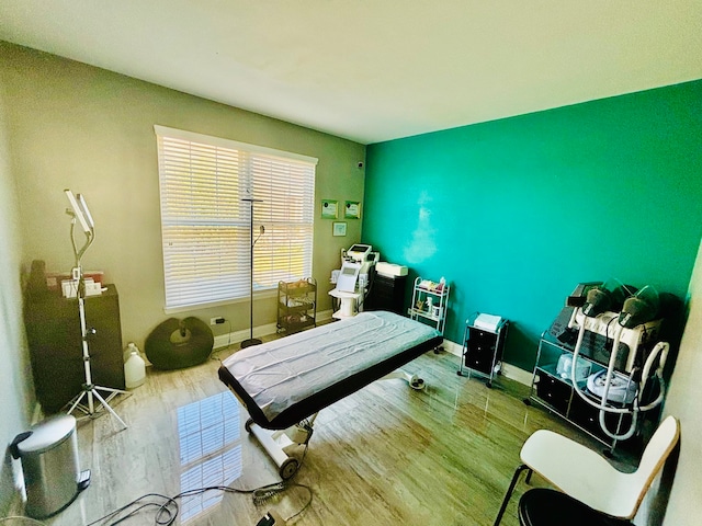 bedroom featuring hardwood / wood-style flooring