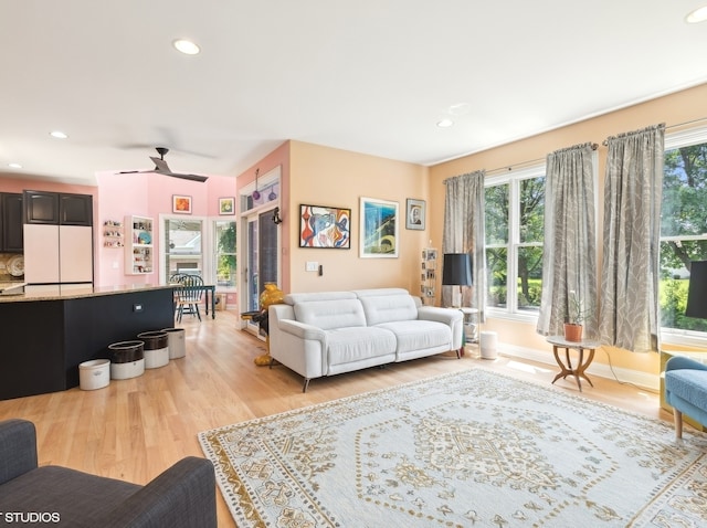 living room featuring ceiling fan and light hardwood / wood-style flooring