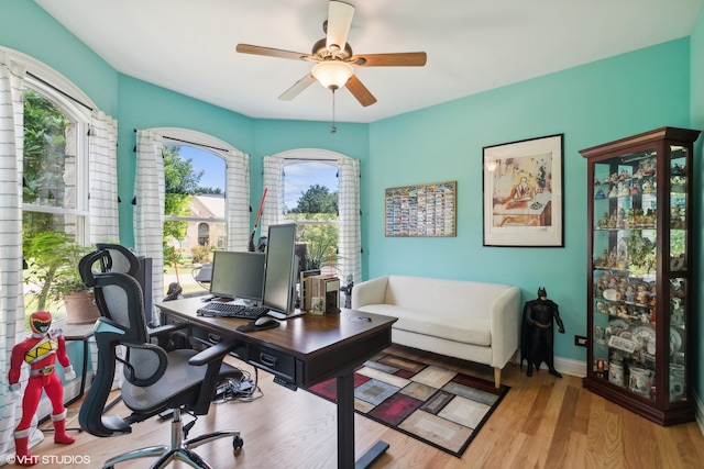 office space with light hardwood / wood-style floors and ceiling fan