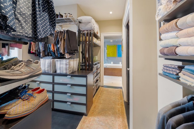 view of spacious closet