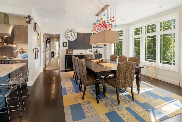 dining space with plenty of natural light and dark hardwood / wood-style floors