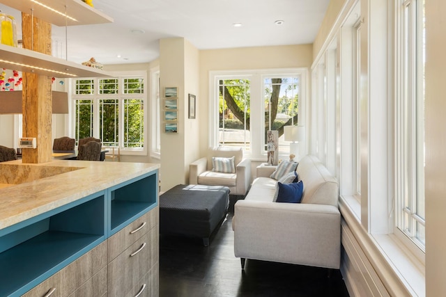 living area featuring dark wood-type flooring and sink