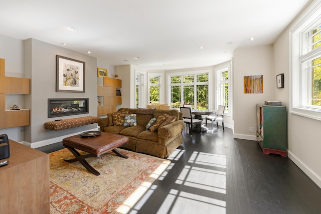 living room with dark hardwood / wood-style flooring