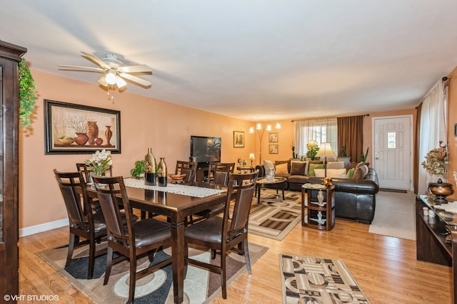 dining space with ceiling fan and light hardwood / wood-style flooring