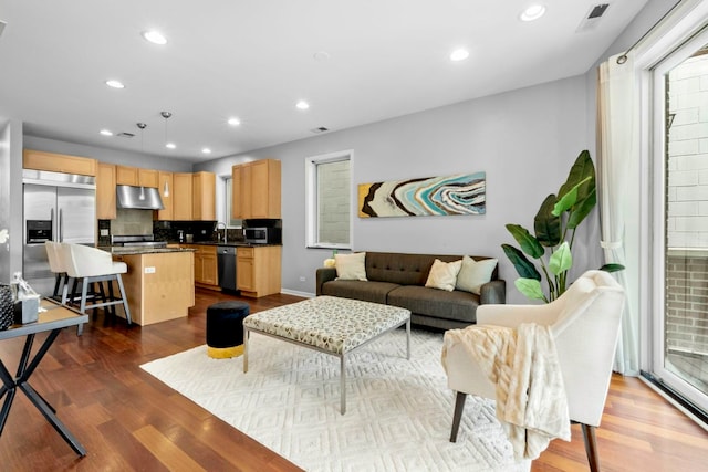 living room with hardwood / wood-style floors, sink, and a wealth of natural light