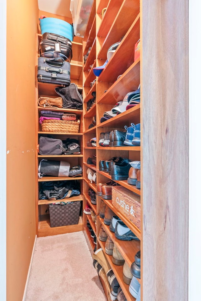 walk in closet with carpet