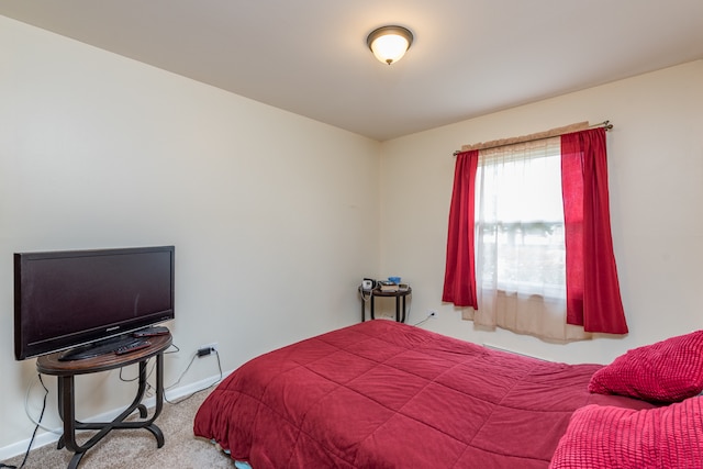 bedroom with carpet flooring