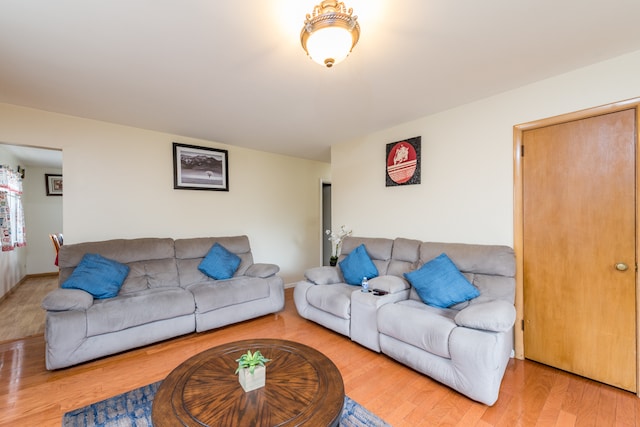 living room featuring hardwood / wood-style floors